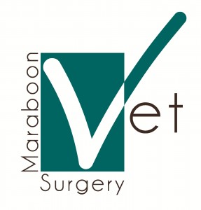 Maraboon Vet Surgery original